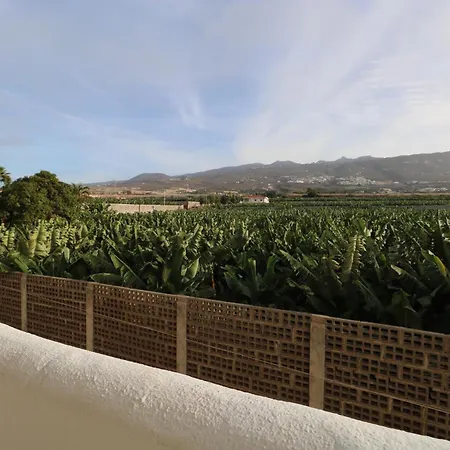 Apartment Marina Palace Atlantic View *